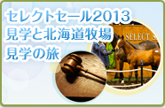 セレクトセール2013見学と北海道牧場見学の旅