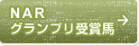 NARグランプリ受賞馬