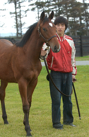 シルクプリマドンナ2004 | 馬産地コラム | 競走馬のふるさと案内所