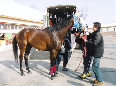 2004年03月07日 弥生賞 Ｇ２ | 重賞ウィナーレポート | 競走馬の