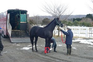 ナイキアディライトが優駿ssに種牡馬入り 馬産地ニュース 競走馬のふるさと案内所