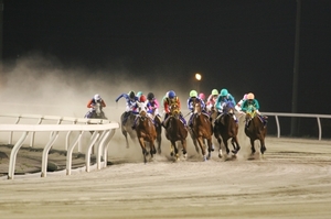 競走馬のふるさと案内所馬産地ニュース日本で一番早い2歳重賞・栄冠賞が行われる