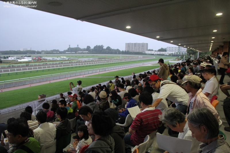 函館競馬場でゴールドシップの公開調教が行われる | 馬産地ニュース | 競走馬のふるさと案内所