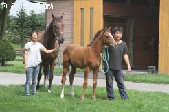 グリーンオリーヴと当歳(牝、父モンテロッソ)