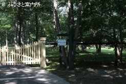 木村厩舎の入り口は木陰にある