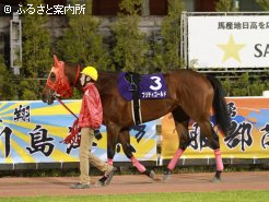 -6kgの馬体重で出走した