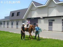 体験乗馬
