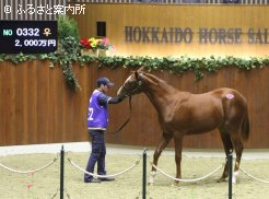 最高価格となったエミネントシチー2018