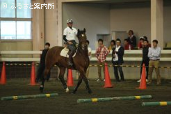 実馬を使ってハミ受けの矯正を実践