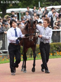 現役時と変わらぬ、軽くステップを踏む仕草でパドックを周回した