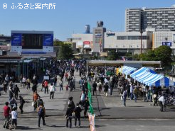 3万人以上の観客で賑わった当日の船橋競馬場