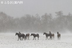 写真４　[吹雪]