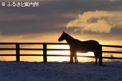 写真１　[夕日]