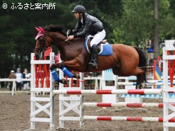 京成杯の勝ち馬サンツェッペリン