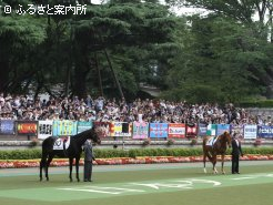 最後は首を下げてお辞儀をするような一幕もあった