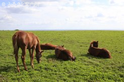 写真５　[お昼の時間]