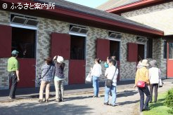 思い思いに馬との再会を楽しんだ。