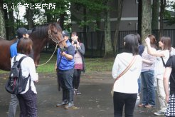 至近距離からの撮影にも動じない温厚な性格のロードカナロア