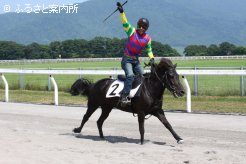 谷口さんは、浦河競馬祭で見事な手綱さばきを披露した