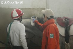 マイクロチップ検査で実馬を確認