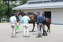 今年生まれたサラブレッド親子と対面