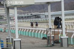 上場馬調教ビデオ撮影が行われた軽種馬育成調教センター