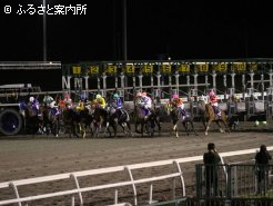 好発を切るノットオーソリティ