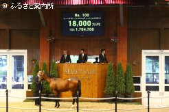 最高価格馬「シーズオールエルティッシュの2012」