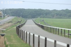 日高軽種馬共同育成公社に新設された坂路コース