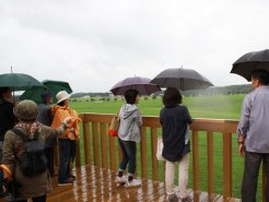 「馬見の丘」から放牧風景を見る参加者