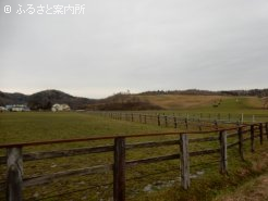 山まで広がる放牧地