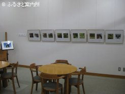 写真は1階と地下1階に展示