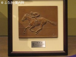 2015年には31頭目のJRA顕彰馬に選出された