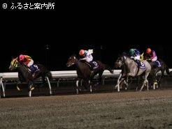 早目先頭から押し切ったノットオーソリティ