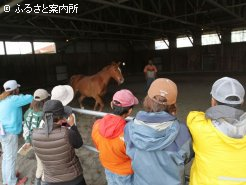 屋内馬場