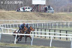日高軽種馬共同育成公社で行われた調教ビデオ撮影