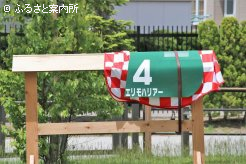 函館記念(Jpn3)で3連覇した時の、4番のゼッケンも飾られていた