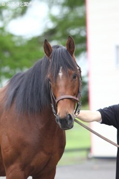 母ラヴアンドバブルズ