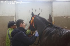 アナボリックステロイド検査の採血も行われた