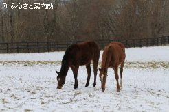 写真２　[積雪]