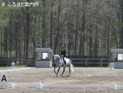 ドレッサージュ競技の様子