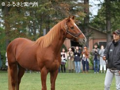 参加者は間近で対面が叶った