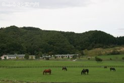 放牧地までの通路にはチップも巻かれている