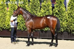 高額3位タイ「アーヴェイの2012」