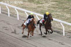 セール当日へ向け順調な仕上がりを披露