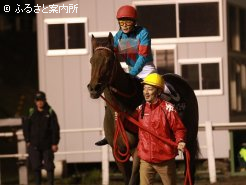 牡馬を負かしての堂々の勝利