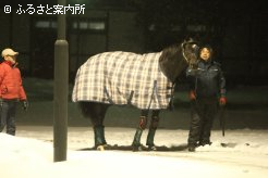 日本軽種馬協会静内種馬場を後にするサニングデール