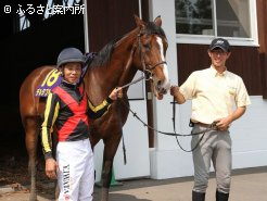 園内の人気馬デルタブルースらが立候補