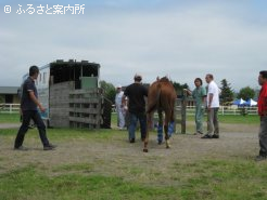 関係者に見送られ馬運車に乗り込んだ