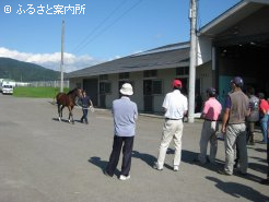 到着後はJRA職員による歩様検査を受けた